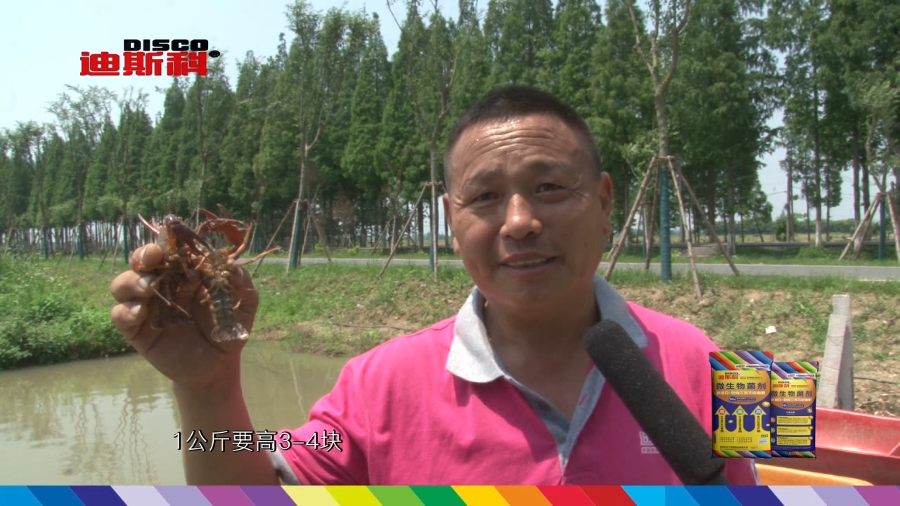 豆蛋白蝦稻肥