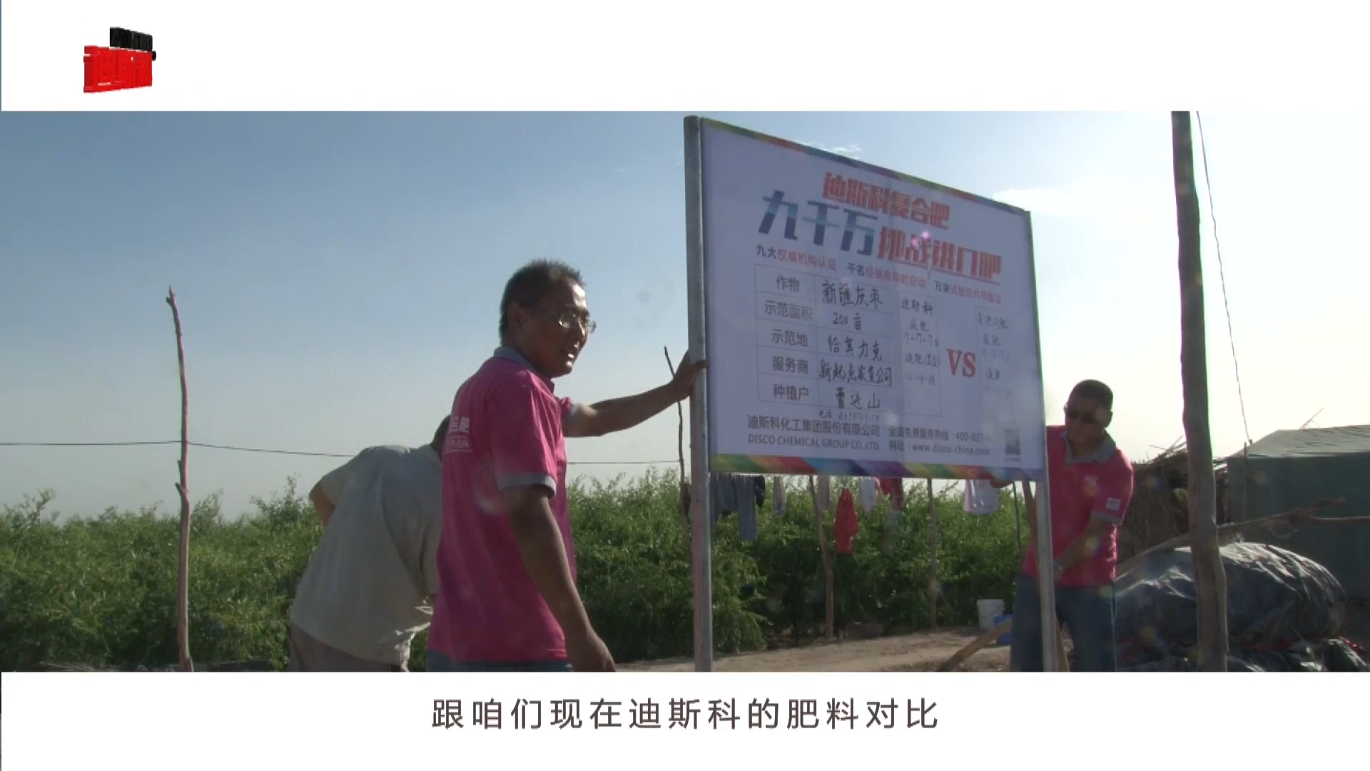 阿克蘇蘋果